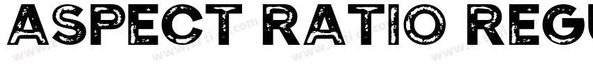 Aspect Ratio Regular字体转换